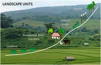 Landscape units