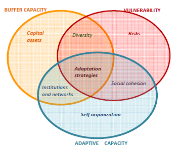 the three dimensions of resilience © EFICAS 2015